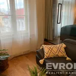 Rent 1 bedroom apartment of 33 m² in Prague