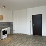 Rent 1 bedroom apartment of 24 m² in Moravský Krumlov