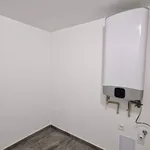 Rent 1 bedroom apartment of 50 m² in Prague