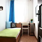 Rent a room in Katowice