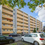 Wohnung über 50 m² in Dresden