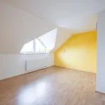 Pronajměte si 1 ložnic/e byt o rozloze 95 m² v Olomouc