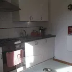 Rent 1 bedroom apartment in naples