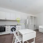 Rent 1 bedroom apartment of 37 m² in Prague