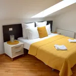 Rent 1 bedroom apartment of 60 m² in Prague