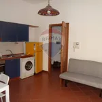 Rent 2 bedroom apartment of 45 m² in Palermo