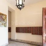 Rent 2 bedroom apartment of 50 m² in Roma