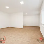 Rent 1 bedroom apartment in Plzeň