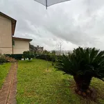 Rent 5 bedroom apartment of 85 m² in Pietrasanta