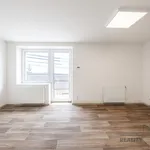 Pronájem bytu 1+kk 35m²