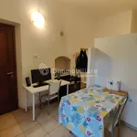 Rent 1 bedroom apartment of 30 m² in Torino