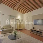 Rent 2 bedroom apartment of 50 m² in Florence