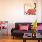 Rent 1 bedroom apartment in madrid