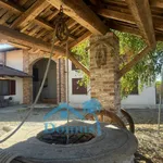 Rent 4 bedroom house of 80 m² in Piscina