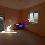 Rent 2 bedroom apartment of 7500 m² in Alexandroupoli