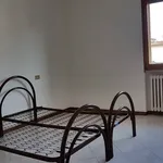 Rent 4 bedroom apartment of 75 m² in Pisa