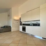 Rent 4 bedroom apartment of 95 m² in Pisa