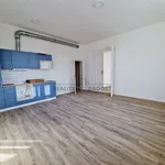 Pronajměte si 2 ložnic/e byt o rozloze 59 m² v Brno