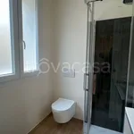 Rent 3 bedroom apartment of 80 m² in Bologna