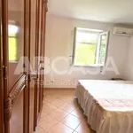 Rent 2 bedroom apartment of 55 m² in Velletri