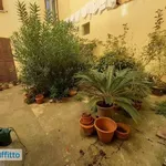 Rent 2 bedroom apartment of 60 m² in Bologna