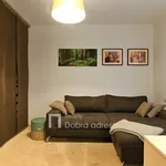 Pronajměte si 2 ložnic/e byt o rozloze 53 m² v Prague