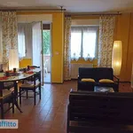 Rent 3 bedroom apartment of 82 m² in Bologna