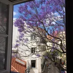 Rent 1 bedroom apartment in Lisbon