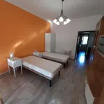 Rent 3 bedroom apartment of 80 m² in Bologna