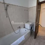 Rent 3 bedroom apartment of 100 m² in Rome