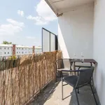 Rent 1 bedroom apartment of 50 m² in berlin