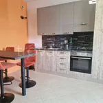 Rent 3 bedroom apartment of 58 m² in Isola delle Femmine