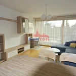 Rent 2 bedroom apartment of 47 m² in Prague