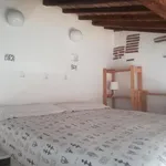 Rent 1 bedroom apartment in Florence