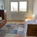 Rent 3 bedroom apartment of 68 m² in Budapest