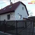 Rent 1 bedroom apartment of 50 m² in Plzeň