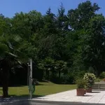 Rent 2 bedroom apartment of 40 m² in Baveno