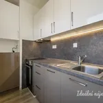 Pronajměte si 2 ložnic/e byt o rozloze 43 m² v Prague