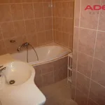 Rent 2 bedroom apartment of 305 m² in Capital City of Prague