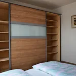 Rent 2 bedroom apartment of 85 m² in Brno