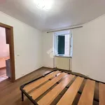 Rent 2 bedroom apartment of 30 m² in Roma