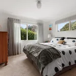 Rent 4 bedroom house in Tauranga