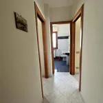 Rent 4 bedroom apartment of 111 m² in Roma