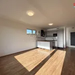 Rent 3 bedroom apartment of 73 m² in Praha