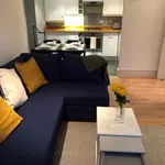 Rent 1 bedroom apartment of 528 m² in London