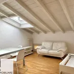 Rent 1 bedroom apartment of 45 m² in Mantua