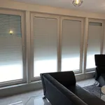 Rent 2 bedroom apartment of 50 m² in Essen