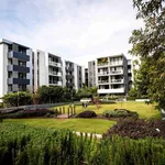 Rent 2 bedroom apartment in Campsie