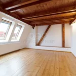 Rent 3 bedroom apartment of 81 m² in Plzeň