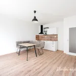 Pronajměte si 2 ložnic/e byt o rozloze 51 m² v Prague